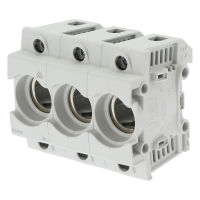 Bussmann series low voltage D fuse 3 POLE PLASTIC BASE D02 63A - EATON (pavadinimas tikslinamas)