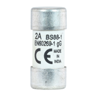 Bussmann series low voltage british standard fuse STREET LIGHTING FUSE >2A 415V - EATON (pavadinimas tikslinamas)