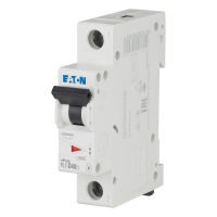 Moeller series xPole - PL7 MCB PL7-D40/1 - EATON (pavadinimas tikslinamas)
