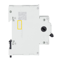 Moeller series IS Disconnector IS-100/2 - EATON (pavadinimas tikslinamas)