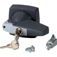 K2 Accessory Handle K2DG/C - EATON (pavadinimas tikslinamas)