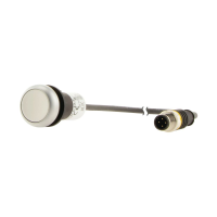 Moeller series C22 Pushbutton C22-D-W-K10-P3 - EATON (pavadinimas tikslinamas)