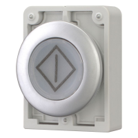Moeller series M30 Illuminated pushbutton actuator M30C-FDL-W-X100 - EATON (pavadinimas tikslinamas)