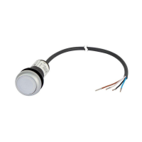 Moeller series C22 Illuminated pushbutton actuator C22-DL-W-K10-24-P62 - EATON (pavadinimas tikslinamas)