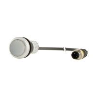 Moeller series C22 Illuminated pushbutton actuator C22-DL-W-K10-24-P1 - EATON (pavadinimas tikslinamas)