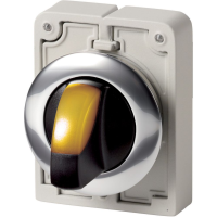 Moeller series M30 Illuminated selector switch actuator M30C-FWLKV-Y - EATON (pavadinimas tikslinamas)