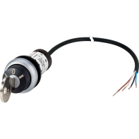 Moeller series C22 Key-operated actuator C22-WRS3-MS1-K20-P65 - EATON (pavadinimas tikslinamas)