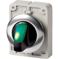Moeller series M30 Illuminated selector switch actuator M30C-FWRLK-G - EATON (pavadinimas tikslinamas)