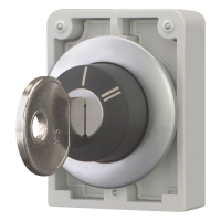 Moeller series M30 Key-operated actuator M30C-FWRS-X95 - EATON (pavadinimas tikslinamas)