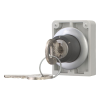 Moeller series M30 Key-operated actuator M30C-FWRS3-RS - EATON (pavadinimas tikslinamas)