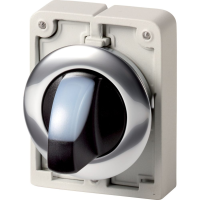 Moeller series M30 Illuminated selector switch actuator M30C-FWLK-W - EATON (pavadinimas tikslinamas)