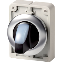 Moeller series M30 Illuminated selector switch actuator M30I-FWLKV-W - EATON (pavadinimas tikslinamas)