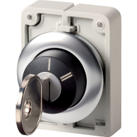 Moeller series M30 Key-operated actuator M30I-FWRS-X95 - EATON (pavadinimas tikslinamas)