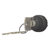 Moeller series M22 Key-operated actuator M22S-WRS3-SA()--A9 - EATON (pavadinimas tikslinamas)
