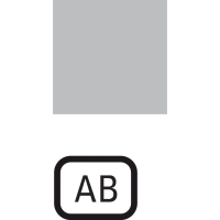 Moeller series RMQ16 Accessory Insert label 173LQ25 - EATON (pavadinimas tikslinamas)