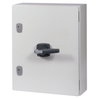 DMVS Enclosed switch-disconnector DMVS-160/3/SE5/P-G - EATON (pavadinimas tikslinamas)