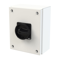 Moeller series P3 Main switch P3-100/SE3/SVB-SW - EATON (pavadinimas tikslinamas)