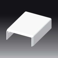 LV 40X15 - galinis dangtis - KOPOS KOLIN (pavadinimas tikslinamas)