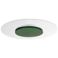 Šviestuvas v/t LED 18W 3000K 2000lm D-370mm H-46mm dimeriuojamas žalias ZANIAH - DEKO LIGHT