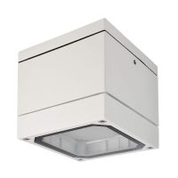 Šviestuvas v/t 1x9W GX53 IP54 108x108mm H-100mm baltos spalvos MOB SQUARE II - DEKO LIGHT