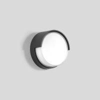 Šviestuvas v/t LED 11.7W IP65 3000K 936lm D-265mm H-120mm grafito spalvos BRA DALI - BEGA