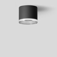 Šviestuvas v/t LED 39.3W IP65 3000K 3278lm D-220mm H-178mm 46 laipsnių grafito spalvos DALI - BEGA