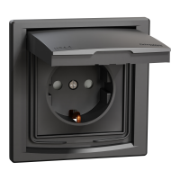 Lizdas p/t SCHUKO su dangteliu IP44 su apsauga nuo vaikų antracito spalvos 16A 250V Asfora - SCHNEIDER ELECTRIC