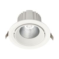 Šviestuvas į/l LED 18.7W IP20 3000K 2482lm D-180mm H-125mm reguliuojamas Cursa LED1x2600 E835 T830 R40 - NORTHCLIFFE