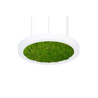 Šviestuvas pakabinamas LED 34.6W IP40 4000K 3772lm D-600mm H-80mm Forma G LED1x3800 J157 T840 OP LT80 - NORTHCLIFFE