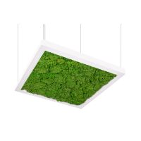 Šviestuvas pakabinamas LED 34.7W IP40 4000K 4380lm 620x620mm H-68mm Quadro G LED1x4400 J467 T840 OP LT80 - NORTHCLIFFE
