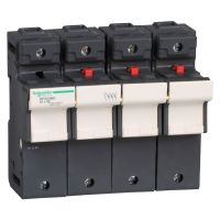 Kirtiklis-saugiklis 4P 125A 22x58mm DF TeSys - SCHNEIDER ELECTRIC