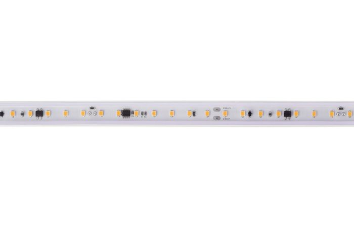 Juosta LED 14W/m 230V IP65 2700K 1442lm/m 103lm/W L-50m 100 laikiklių su kištuku - DEKO LIGHT