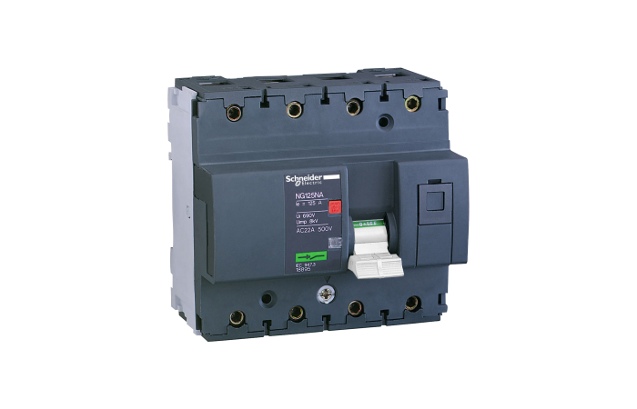 INTER. NG125NA 4P 100A, 18895, FINAL DISTRIBUTION DEVICES AND SYSTEMS, MULTI9 REMAINING, SWITCHES - SCHNEIDER ELECTRIC (pavadinimas tikslinamas)