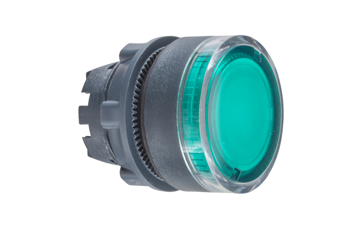 Galvutė mygtukui skaidri žalia LED - SCHNEIDER ELECTRIC