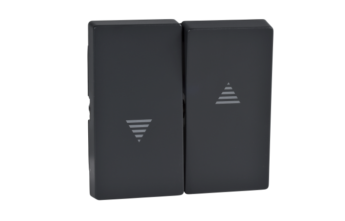 Klavišas dvigubam jungikliui žaliuzių su rodyklėmis antracito spalvos System M - SCHNEIDER ELECTRIC