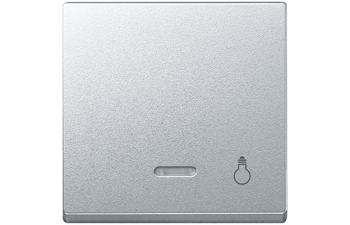 Klavišas viengubam jungikliui su pašvietimu su simboliu "Lemputė" aliuminio spalvos System M - SCHNEIDER ELECTRIC