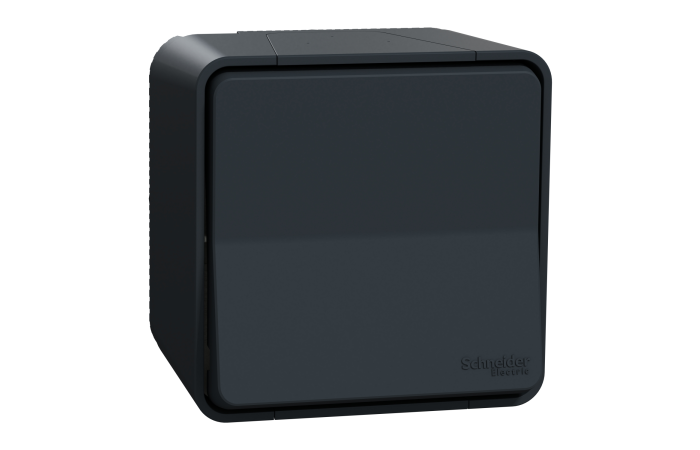 Perjungiklis v/t viengubas IP55 pilkos spalvos 10A 250V Mureva Styl - SCHNEIDER ELECTRIC