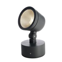 Prožektorius lauko LED 15W IP65 3000K 1090lm D-111mm H-220mm antracito spalvos COLT 15W COB - DEKO LIGHT