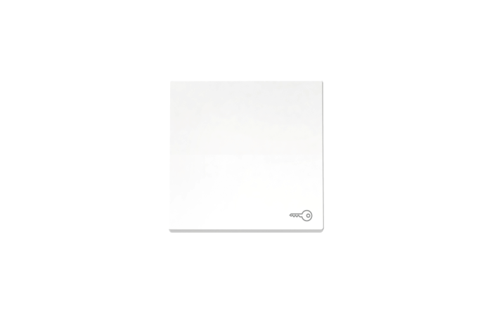 Exxact rocker with key mbol white, WDE002024, WIRING DEVICES, EXXACT, ELECTROMECHANICAL INSERTS - SCHNEIDER ELECTRIC (pavadinimas tikslinamas)