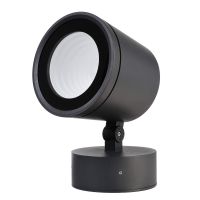 Prožektorius lauko LED 65W IP65 3000K 5260lm D-182mm H-192mm antracito spalvos COLT 65W COB - DEKO LIGHT