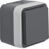 Lizdas v/t SCHUKO viengubas su dangteliu IP55 pilkos matinės spalvos 16A 250V W.1 - BERKER