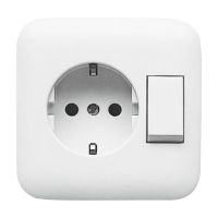 Lizdas p/t SCHUKO su jungikliu 16A 250V 4310/6 EUJ-214 - ABB