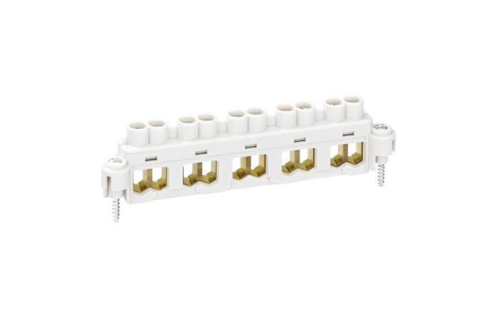 Gnybtas 5P 10mm2 Abox 100 - SPELSBERG