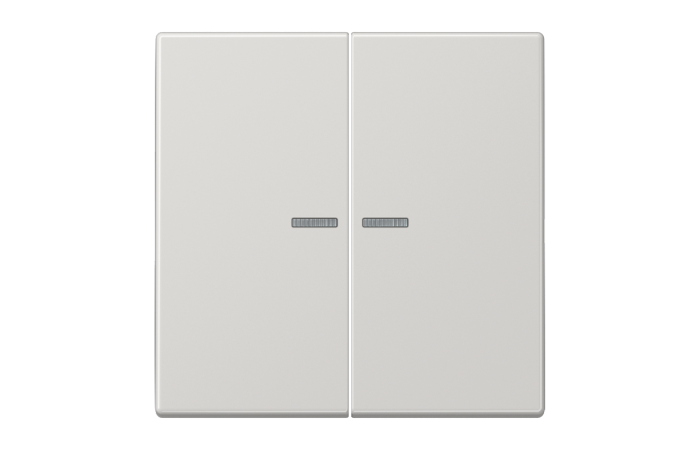 Klavišas dvigubas jungikliui su apšvietimu šviesiai pilkas LS - JUNG