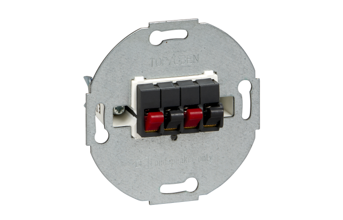 Merten inserts.Audio lizdas garso kolonelei.2 išeji, MTN467014, WIRING DEVICES, MERTEN, AUDIO - SCHNEIDER ELECTRIC (pavadinimas tikslinamas)