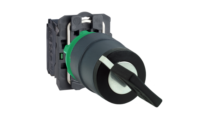 Perjungiklis su raktu 2 padėčių be fiksacijos - SCHNEIDER ELECTRIC