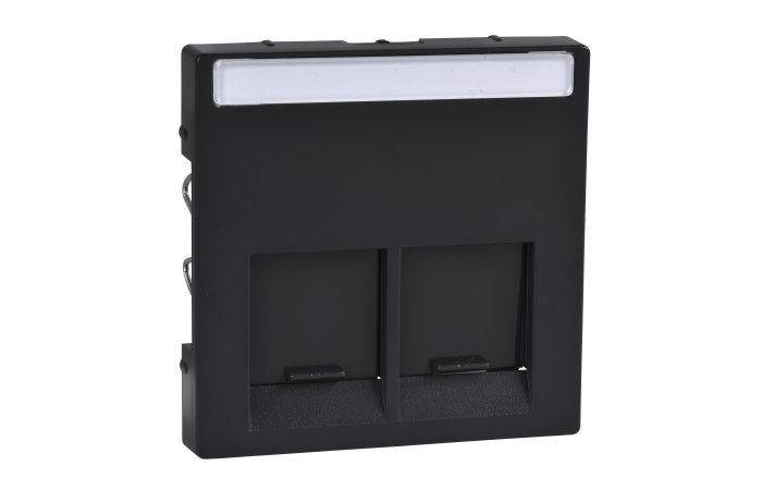 Dangtelis dvigubas lizdui 2xRJ11 arba 2xRJ45 antracito spalvos RAL7024 - SCHNEIDER ELECTRIC