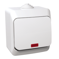 Perjungiklis v/t viengubas IP44 su pašvietimu baltos spalvos 16A 250V Cedar Plus - SCHNEIDER ELECTRIC