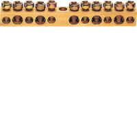 Gnybtas skydeliui 5x16+6x10 L-73mm - HAGER