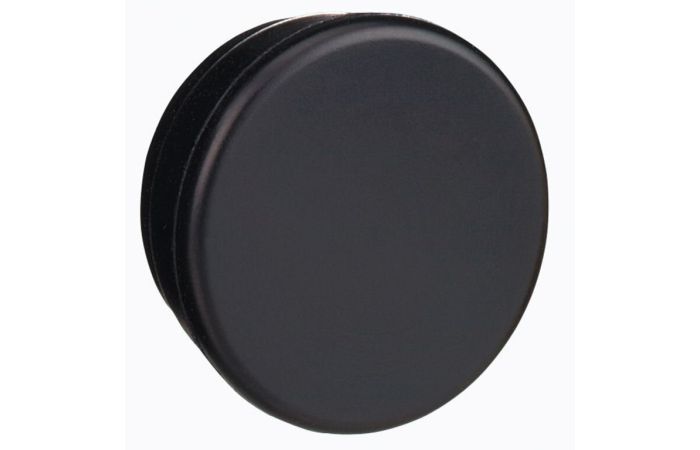 MOUTING HOLE PLUG, ZB6Y005, CONTROL & SIGNALLING, PUSH BUTTONS, PILOT LIGHTS & CONTROLS, DIA 16 PLASTIC MODULAR - SCHNEIDER ELECTRIC (pavadinimas tikslinamas)